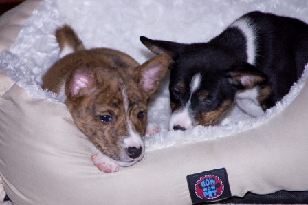 Playing is Tiring (Week 9)